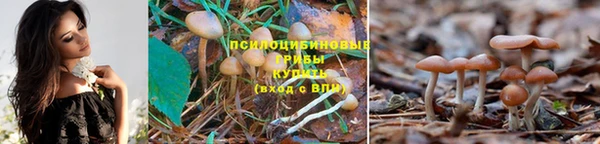mdpv Горнозаводск