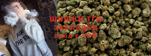 гашик Горняк
