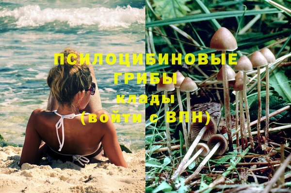 хмурый Горно-Алтайск